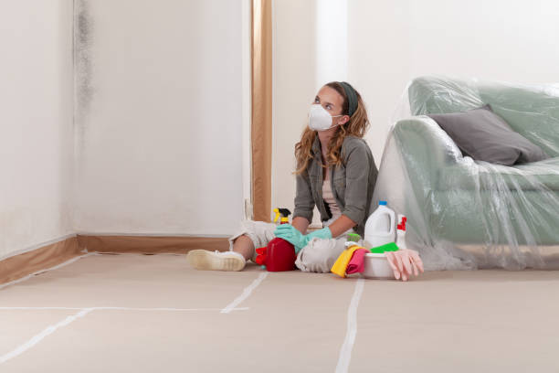 Reliable Mold Testing contractor in Bloomfield, NY by WQB Mold Removal